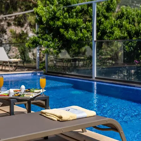 Villa Serin *