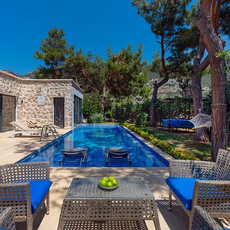 Villa Serin *